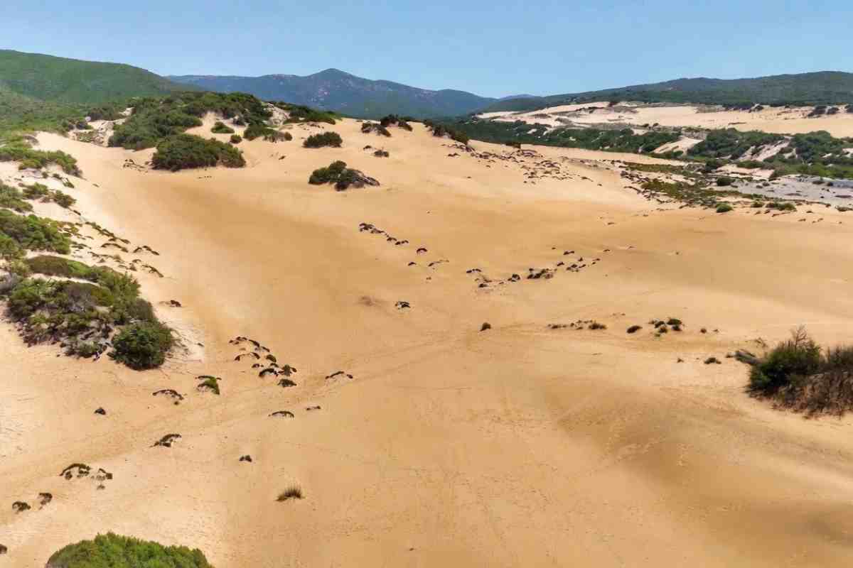 le meravigliose dune di piscinas