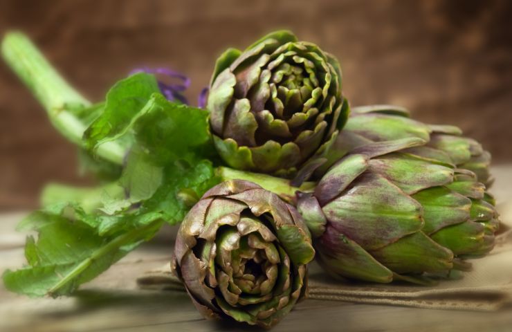 carciofo 
